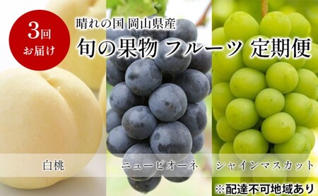 フルーツ 定期便 [2025年 先行予約] 晴れの国 旬の 果物 3回お届け便 岡山 白桃 2kg(5玉〜7玉) ニュー ピオーネ 4房2kg以上 シャインマスカット 4房(2.4kg以上) 岡山県産 国産 セット ギフト