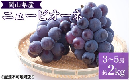 t Ԃǂ ̍ sI[l 2kgi3`5[jϔ R s uhE  ʕ t[c