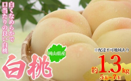  2026Ns\ RY  1.3kg 5`7 ͂ 7{`7{
