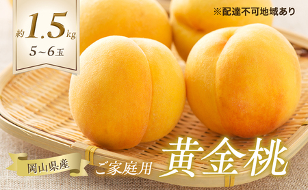 桃 2025年 先行予約 ご家庭用 岡山の 黄金桃 5〜6玉 合計約1.5kg もも モモ 岡山県産 国産 フルーツ 果物 ギフト