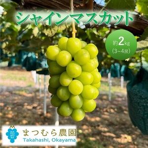 早期受付 ぶどう シャインマスカット 約2kg(3〜4房)大粒 岡山県高梁市産 個装箱入り 葡萄 ブドウ 贈り物