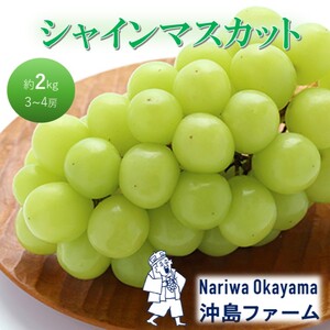 早期受付 ぶどう シャインマスカット 約2kg(3〜4房)岡山県高梁市産 沖島ファーム 化粧箱入り 葡萄 ブドウ 贈答用