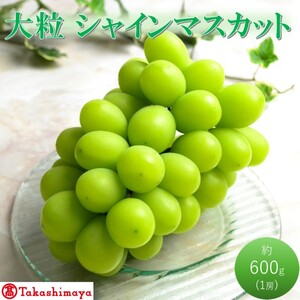[高島屋選定品]大房 シャインマスカット 約600g×1房 岡山県高梁市産 個装箱入り 葡萄 ブドウ 贈り物