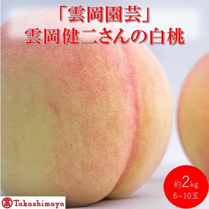 [高島屋選定品]「雲岡園芸」雲岡健二さんの白桃 6〜10玉(約2kg) もも モモ 岡山県産 国産 フルーツ 果物 ギフト
