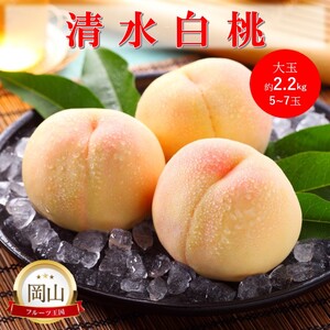 2026�N ������t ���R���Y �������� ��� (��2.2kg) 5�`7�� �� ���� ���� �ʕ� �t���[�c