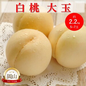 岡山県産 白桃 大玉 (約2.2kg) 5〜7玉 桃 もも 果物 フルーツ