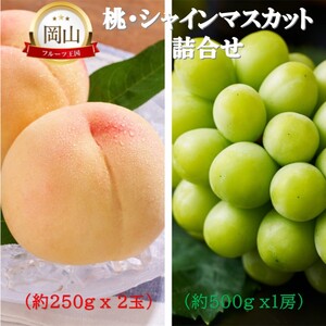 岡山県産 桃 (約250g×2玉)・シャインマスカット(約500g×1房) 詰合せ 桃 シャインマスカット 果物 フルーツ