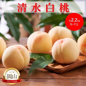 2026�N ������t ���R���Y �������� (��2.2kg)5�`7�� �� ���� ���� �ʕ� �t���[�c