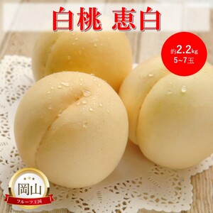 岡山県産 白桃 恵白 (約2.2kg) 5〜7玉 桃 もも 果物 フルーツ