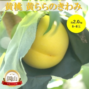 岡山県産 黄桃 黄ららのきわみ (約2.0kg) 6〜8玉 桃 もも 果物 フルーツ