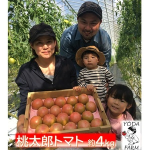 桃太郎トマト 約4kg 野菜 トマト とまと 岡山県 高梁市産 産地直送