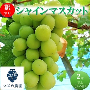 2026年 早期受付 ぶどう 訳あり シャインマスカット 2kg以上(3〜5房) 数量限定 岡山県 高梁市産