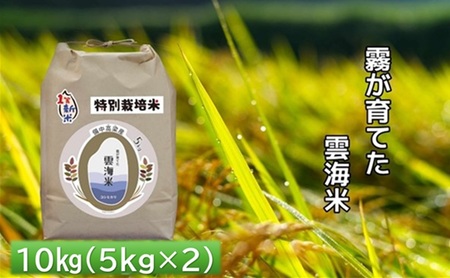 Ă_C ʍ͔| 10kg (5kg×2) _C  RVqJ  R    Ђ R s