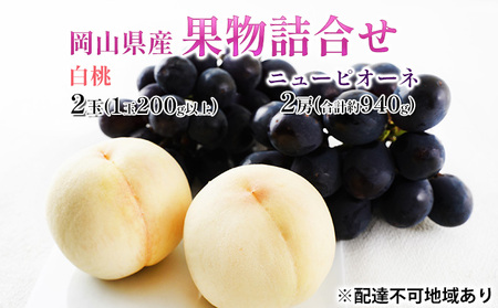 �� �Ԃǂ� 2026�N ��s�\�� �ʕ��l���� ���� 2�ʁi1��200g�ȏ�j �j���[ �s�I�[�l 2�[�i���v��940g�j���ϔ����� ���R���Y ���Y �t���[�c �ʕ� �M�t�g  ���蕨 �Z�b�g