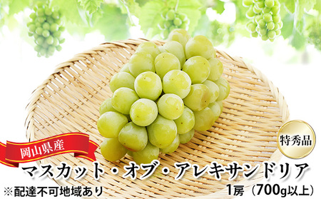 �Ԃǂ� 2026�N ��s�\�� �}�X�J�b�g�E�I�u�E�A���L�T���h���A ���G�i 1�[�i1�[700g�ȏ�j���ϔ����� ���� ���R���Y ���Y �t���[�c �ʕ� �M�t�g �ʎ� ��i ����