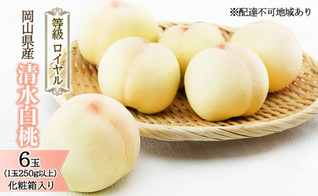 �� 2026�N ��s�\�� ���� ���� 6�� �i1��250g�ȏ�j �����F���C���� ���ϔ����� ���� ���� ���R���Y ���Y �t���[�c �ʕ� �M�t�g �����i ���x12.0�x�ȏ�