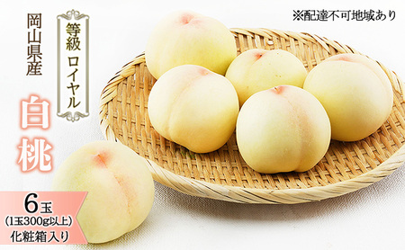 �� 2026�N ��s�\�� ���� 6�� �i1��300g�ȏ�j �����F���C���� ���ϔ����� ���� ���� ���R���Y ���Y �t���[�c �ʕ� �M�t�g �����i ���x12.0�x�ȏ�