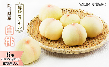 �� 2026�N ��s�\�� ���� 6�� �i1��250g�ȏ�j �����F���C���� ���ϔ����� ���� ���� ���R���Y ���Y �t���[�c �ʕ� �M�t�g �����i ���x12.0�x�ȏ�