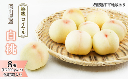 �� 2026�N ��s�\�� ���� 8�� �i1��200g�ȏ�j �����F���C���� ���ϔ����� ���� ���� ���R���Y ���Y �t���[�c �ʕ� �M�t�g �����i ���x12.0�x�ȏ�