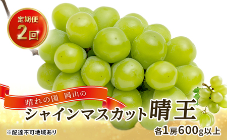 �Ԃǂ� 2026�N ��s�\�� ����̍� ���R�� �V���C�� �}�X�J�b�g ���� ����� 2��i�e1�[600g�ȏ�j ����  ���R���Y ���Y �t���[�c �ʕ� �M�t�g