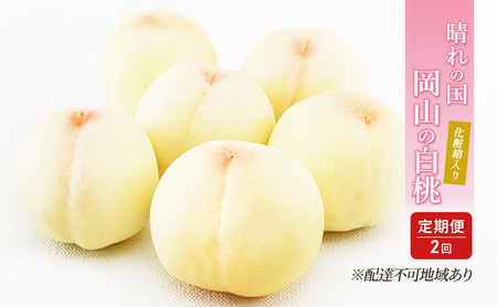 �� ����� 2026�N ��s�\�� ����̍� ���R �� ���� ×2�� ���͂� 1��� ���� 6�ʁi1��250g�ȏ�j�^2��� ���� 6�ʁi1��300g�ȏ�j ���ϔ����� ���� ���� ���R�Y ���Y �t���[�c �ʕ� �M�t�g