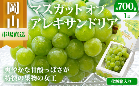 �Ԃǂ� 2026�N ��s�\�� �}�X�J�b�g�E�I�u�E�A���L�T���h���A 1�[ 700g�ȏ� ���ϔ����� �}�X�J�b�g ���R���Y ���Y �t���[�c �ʕ� �M�t�g �H�� �f�U�[�g ��i�ȍ��� �ʕ��̏��� �����ς� �u�₩