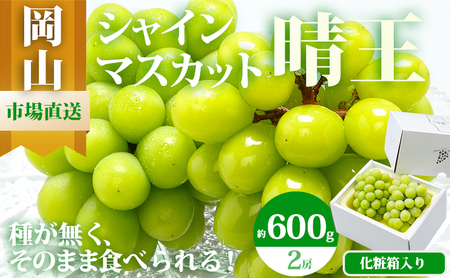 �Ԃǂ� 2026�N ��s�\�� �V���C�� �}�X�J�b�g ���� 2�[ �i1�[ 600g�ȏ�j ���ϔ����� �}�X�J�b�g �u�h�E ����  ���R���Y ���Y �t���[�c �ʕ� �M�t�g �����Ԃǂ� �嗱 ��Ȃ� �����i