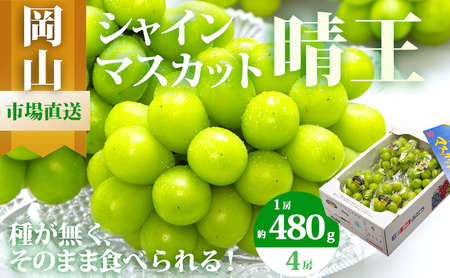 �Ԃǂ� 2026�N ��s�\�� �V���C�� �}�X�J�b�g ���� 4�[�i1�[480g�ȏ�j��2kg �}�X�J�b�g ���R���Y ���Y �t���[�c �ʕ� �M�t�g ��i�ȍ��� �����Ԃǂ� �����V���C���}�X�J�b�g �嗱 ��Ȃ� �炲