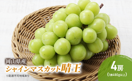 �Ԃǂ� 2026�N ��s�\�� �V���C���}�X�J�b�g ���� 4�[ (1�[480g�ȏ�) �u�h�E ���� ���R���Y ���Y �t���[�c �ʕ� �M�t�g