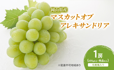 �Ԃǂ� 2026�N ��s�\�� �}�X�J�b�g�I�u�A���L�T���h���A 1�[(600g�ȏ�E�G�i�ȏ�) ���ϔ�����