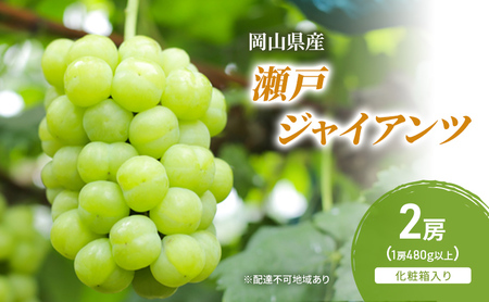 �Ԃǂ� 2026�N ��s�\�� ���˃W���C�A���c 2�[(1�[480g�ȏ�) ���ϔ����� �u�h�E ���� ���R���Y ���Y �t���[�c �ʕ� �M�t�g