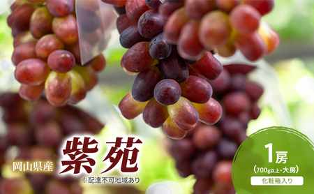 �Ԃǂ� 2026�N ��s�\�� ���� 1�[(700g�ȏ�) ���ϔ����� �u�h�E ���� ���R���Y ���Y �t���[�c �ʕ� �M�t�g