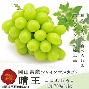 �Ԃǂ� 2026�N ��s�\�� �V���C�� �}�X�J�b�g ���� 1�[ 700g�O�� �u�h�E ����  ���R���Y ���Y �t���[�c �ʕ� �M�t�g ���R�̃u�h�E �f�U�[�g �H�ו� ���{�Y