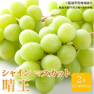 ぶどう 2026年 先行予約 シャイン マスカット 晴王 約400g×2房 ブドウ 葡萄 岡山県産 国産 フルーツ 果物 ギフト シャインマスカット 美しい 大粒 種なし 弾力 高糖度 甘い