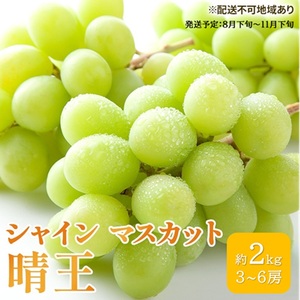 ぶどう 2026年 先行予約 シャイン マスカット 晴王 3房〜6房 約2kg ブドウ 葡萄 岡山県産 国産 フルーツ 果物 ギフト 果物類
