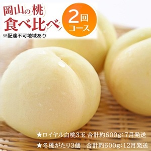 先行予約 晴れの国 岡山のフルーツ 定期便 2回コース 1回目ロイヤル白桃3玉 合計約600g/2回目冬桃がたり3個 合計約600g