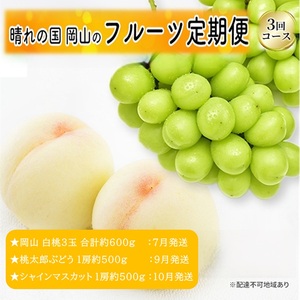 先行予約 晴れの国 岡山のフルーツ 定期便 3回コース 1回目岡山 白桃3玉 合計約600g/2回目桃太郎ぶどう 1房約500g/3回目シャインマスカット 1房約500g