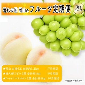 先行予約 晴れの国 岡山のフルーツ 定期便 3回コース 1回目 岡山 白桃6玉 合計約1.2kg/2回目 桃太郎ぶどう2房 合計約1kg/シャインマスカット 2房 合計約1kg