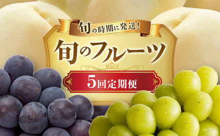 [2026年先行受付] 白桃 ニューピオーネ シャインマスカット 晴王 5回 定期便 桃 もも モモ ぶどう 葡萄 ブドウ 岡山県産 御中元 ギフト 御礼 プレゼント 御礼 御祝 御供 果物 くだもの フルーツ