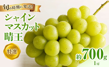 [2026年先行受付] シャインマスカット 晴王 特選 大房 約700g 1房 化粧箱入 岡山県産 ぶどう 葡萄 ブドウ ギフト 御礼 プレゼント 御礼 御祝 御供 果物 くだもの フルーツ