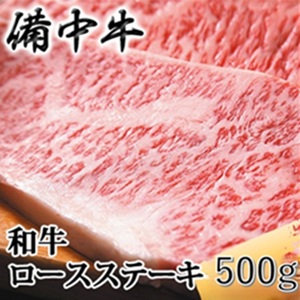 [農林水産大臣賞受賞]備中牛 和牛ロースステーキ 500g(250g×2) 岡山県産 黒毛 和牛 肉 お肉 牛肉 牛