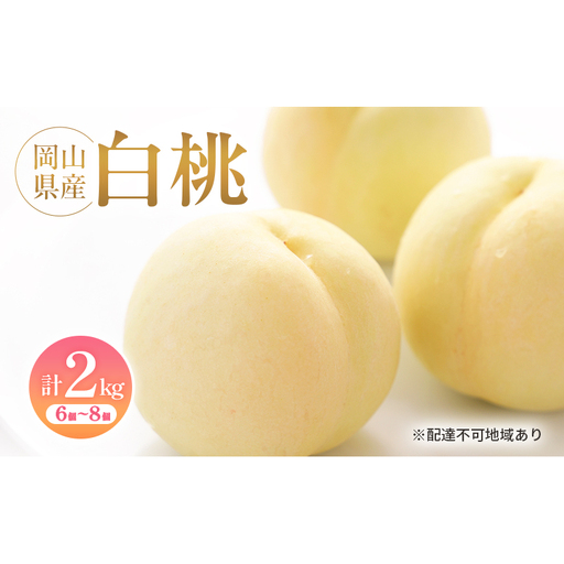 岡山県産 白桃 約2kg(6個〜8個) 果物 フルーツ 桃 もも モモ 国産 岡山