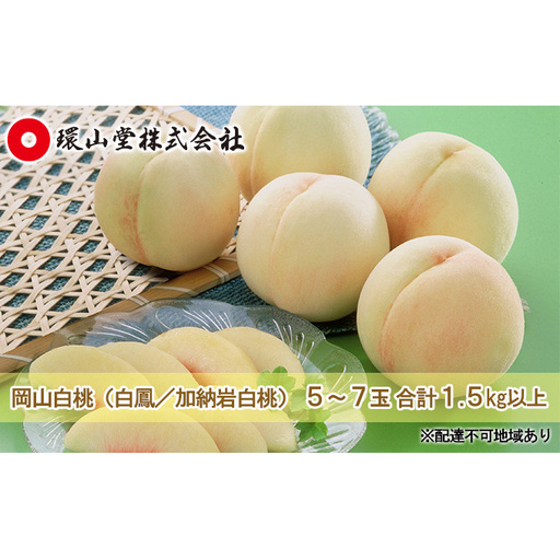 桃 2026年 先行予約 岡山 白桃(品種:白鳳/加納岩白桃)5〜7玉 合計1.5kg以上 もも モモ 岡山県産 国産 フルーツ 果物 ギフト 環山堂