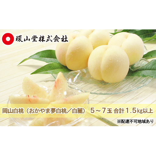 桃 2026年 先行予約 岡山 白桃(品種:おかやま夢白桃/白麗)5〜7玉 合計1.5kg以上 もも モモ 岡山県産 国産 フルーツ 果物 ギフト 環山堂