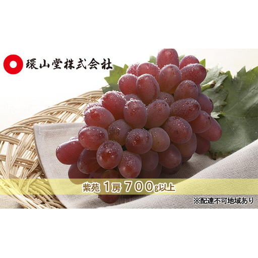 ぶどう 2026年 先行予約 冬 紫苑 1房 700g以上 ブドウ 葡萄 岡山県産 国産 フルーツ 果物 ギフト 環山堂