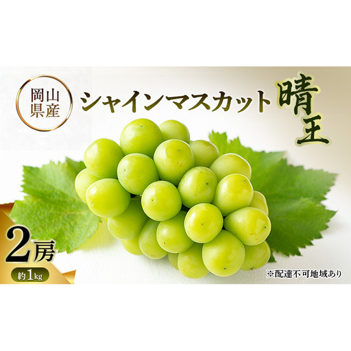 シャインマスカット晴王 岡山県産 約1kg(2房) 果物 フルーツ ぶどう ブドウ 葡萄 国産 岡山