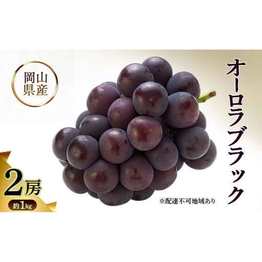 オーロラブラック 岡山県産 約1kg(2房) 果物 フルーツ ぶどう ブドウ 葡萄 国産 岡山