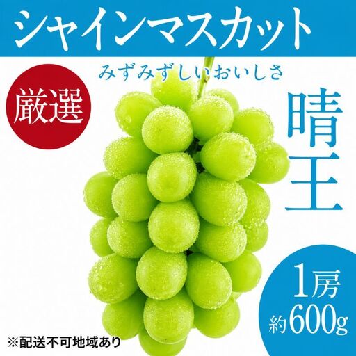 ぶどう 2026年 先行予約 シャイン マスカット 晴王 1房 約600g ブドウ 葡萄 岡山県船穂産 国産 フルーツ 果物 ギフト デザート 食後 酸味が少ない 産地直送
