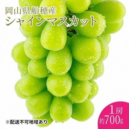 ぶどう 2026年 先行予約 [プレミアムシャインマスカット 晴王 1房 約700g] 赤秀品以上 岡山県船穂産 葡萄 ブドウ ギフト ハレノフルーツ 皮ごと食べる みずみずしい