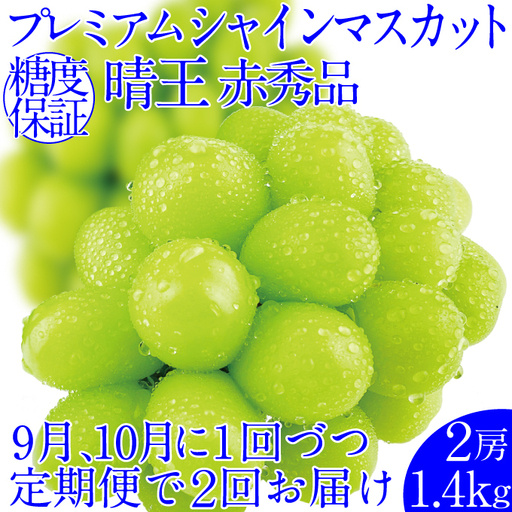 ぶどう 2026年 先行予約【2回定期便】 プレミアムシャインマスカット 晴王 2房 約1.4kg 人気 岡山県船穂産 赤秀品 種無し 皮ごと食べる みずみずしい9月10月お届け ハレノフルーツ
